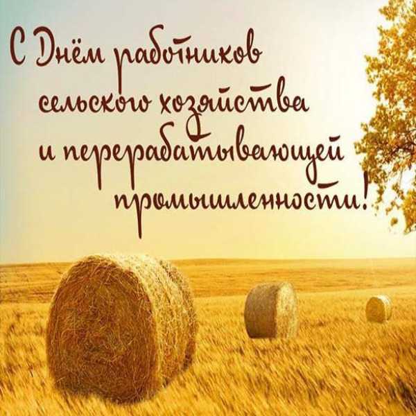 С Днем работника сельского хозяйства и перерабатывающей промышленности!